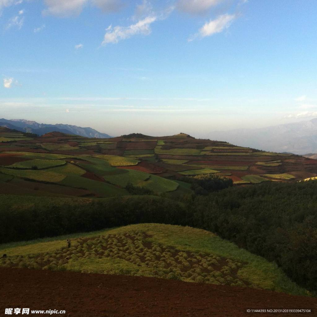 东川红土地