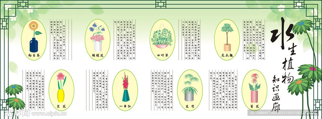 植物说明画廊陆生植物