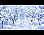 冬季雪景背景视频素材