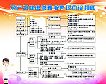 孕产妇健康管理服务项