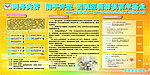 五菱柳机板报