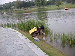 湖水