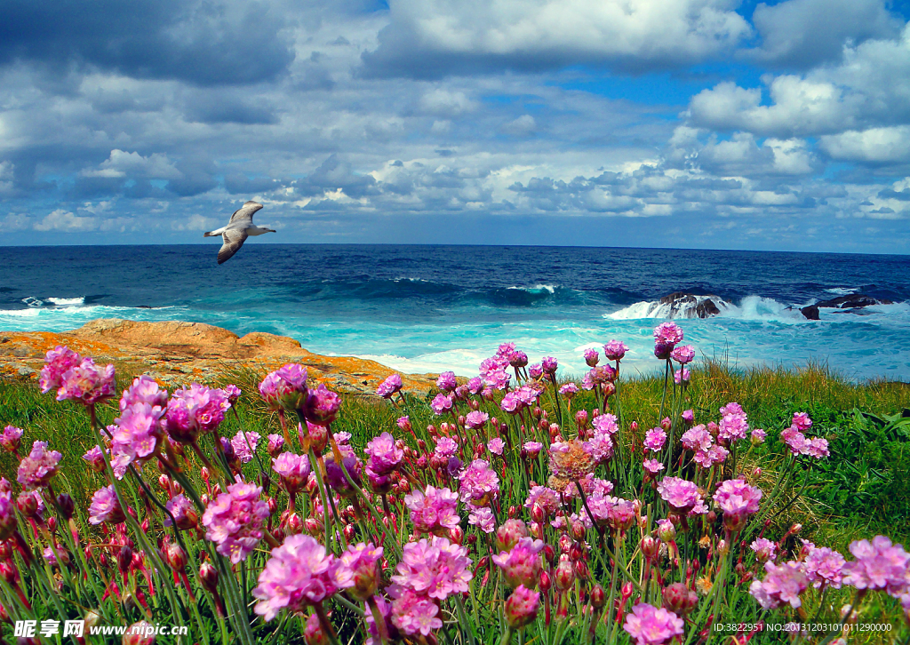 海边风景