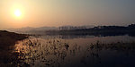 夕阳