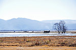 丽江拉市海