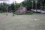 空旷草地