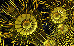 3D花纹