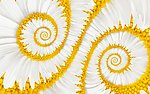 花卉花纹