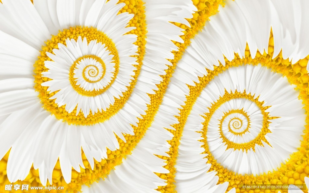 花卉花纹