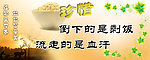 珍惜粮食