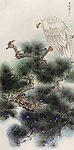白鹰图