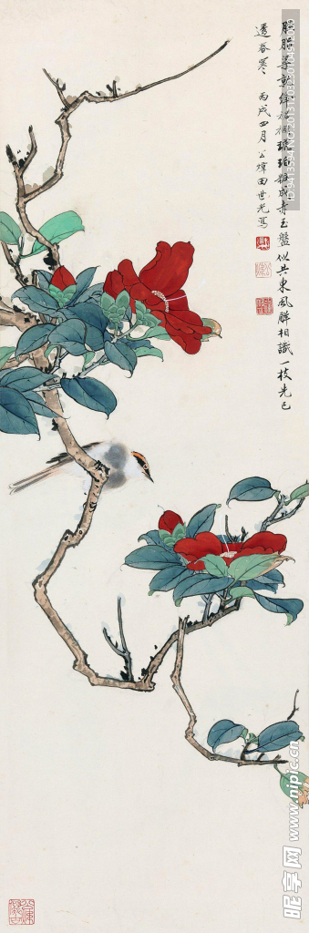 红花小鸟