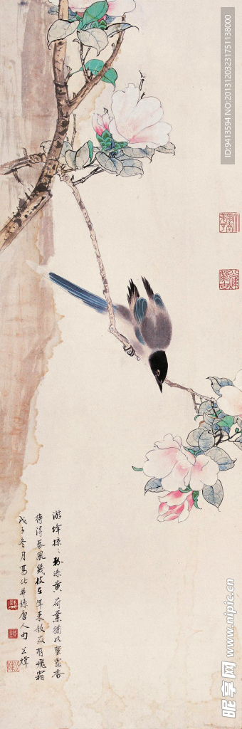 山茶珍禽