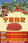 枸杞广告