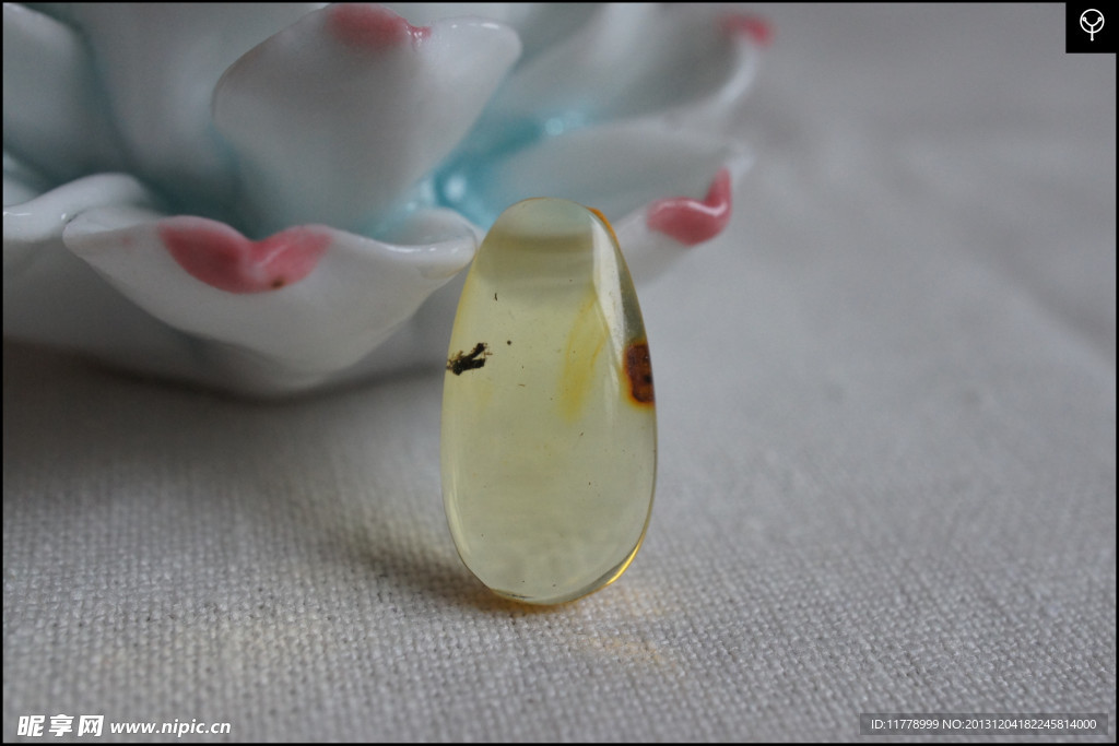 泓霖 有机宝石 虫珀