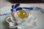 泓霖 有机宝石 虫珀