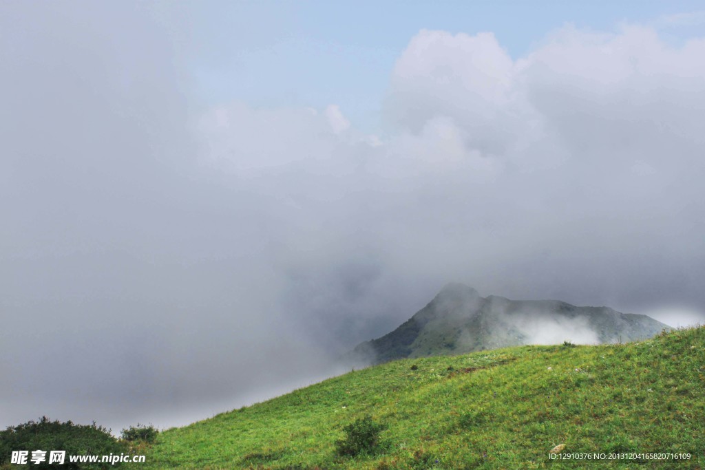 高山云雾