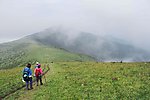 雾中行