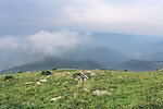 青山薄雾