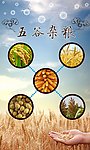 五谷杂粮