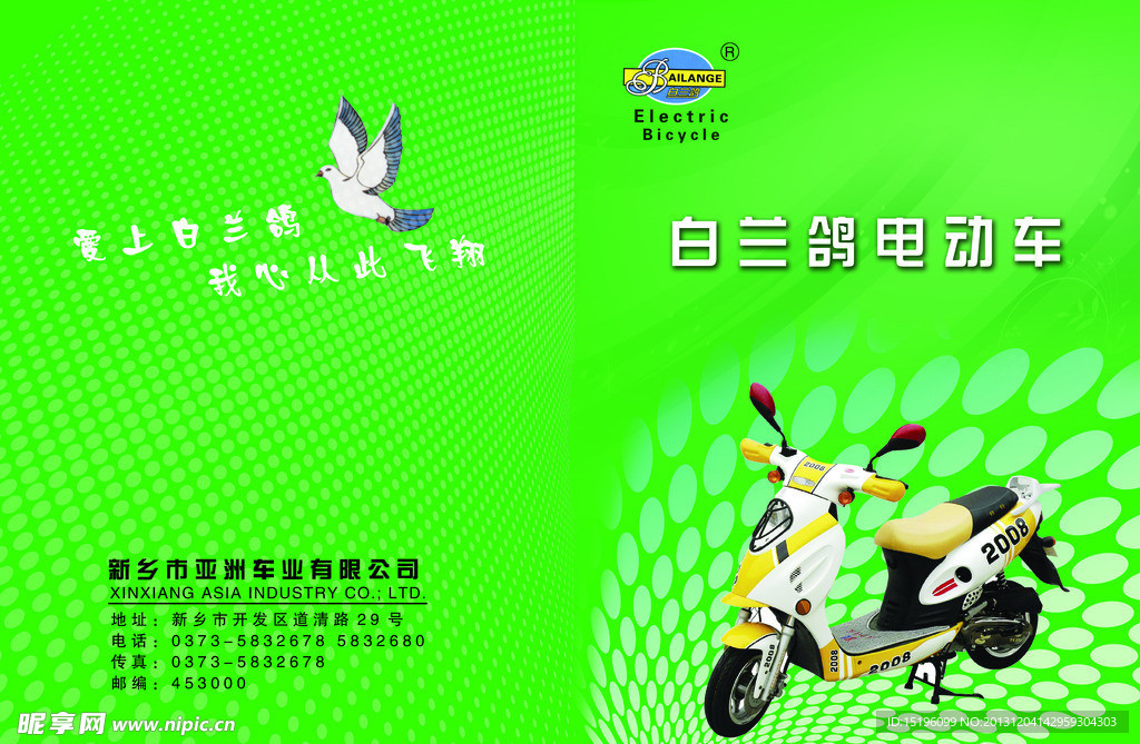 白兰鸽