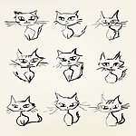 小猫表情