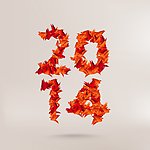 千纸鹤2014设计
