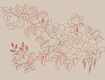 淡雅玫瑰