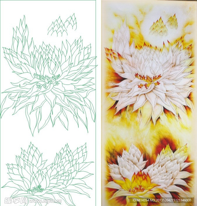 帝金莲 莲花 荷花