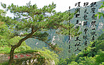 黄 绮题庐山仙人洞
