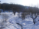冬日小溪雪景图片