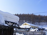 冬雪风景图片