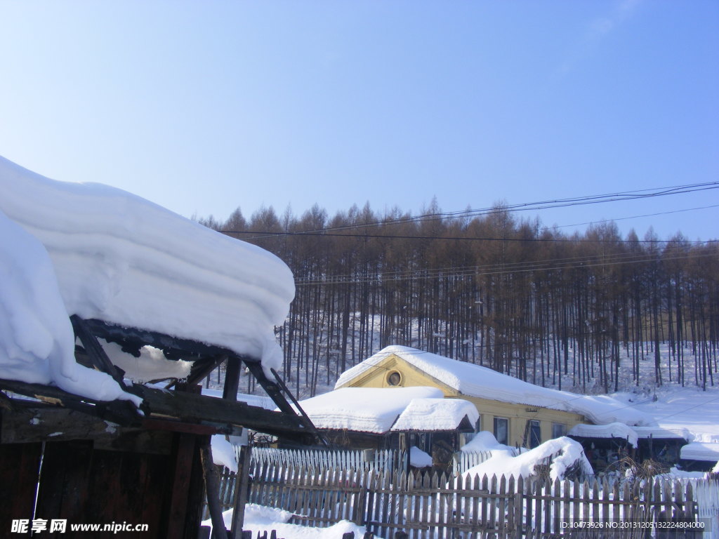 冬雪风景图片