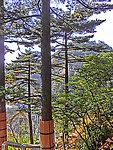 黄山风景