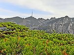 黄山风景