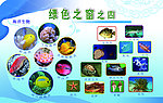 海洋生物