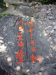 双排字