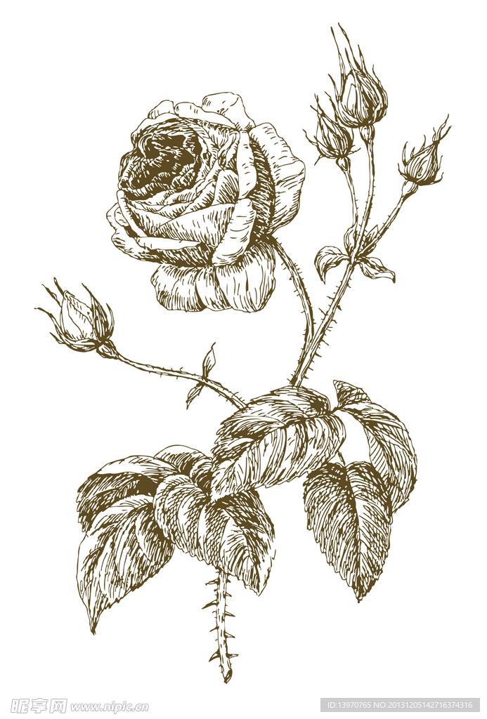 花素材