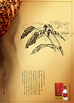 酒文化
