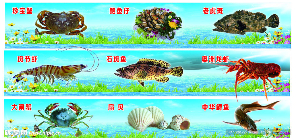 海底生物