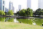 陆家嘴中心绿地