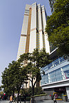震旦大厦