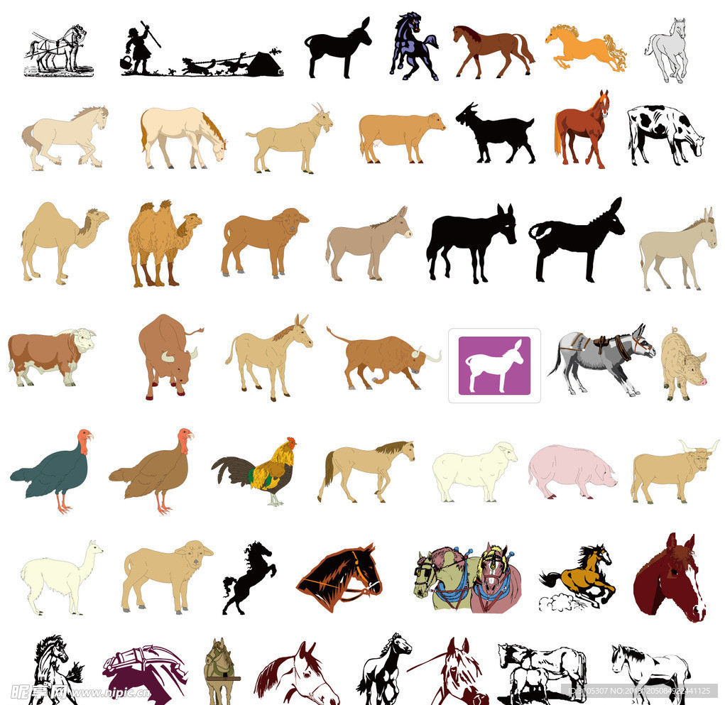 矢量马驴火鸡动物