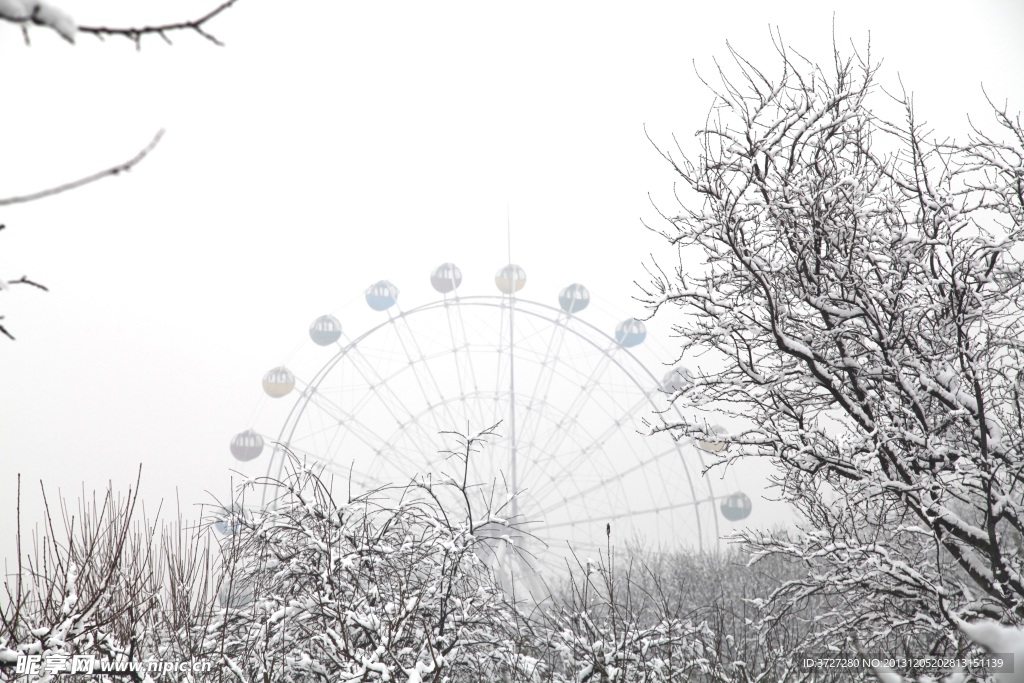 雪景 林 摄影