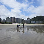 巴西