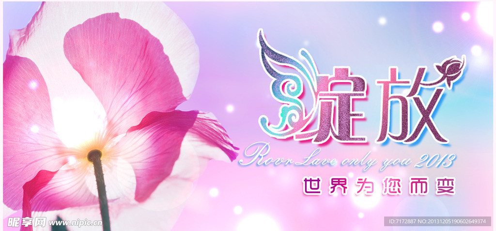 绽放海报
