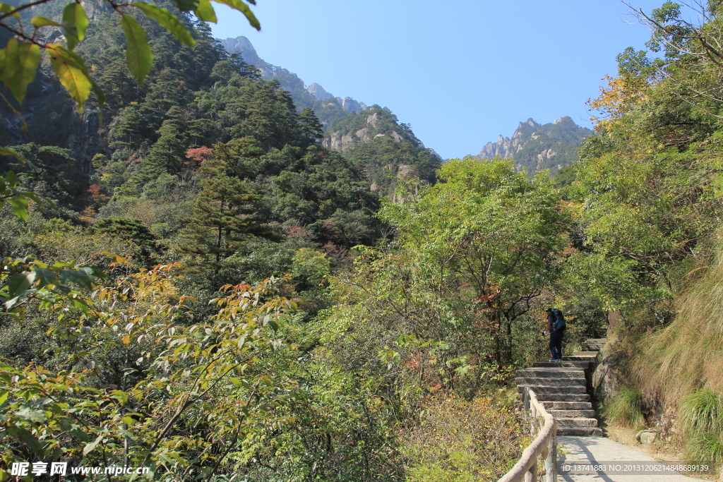 绿山风景