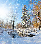 雪景