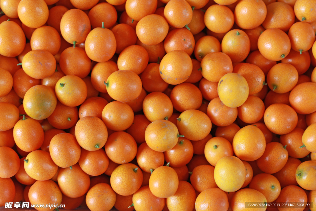 水果金橘素材
