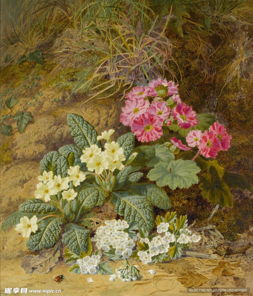 静物鲜花